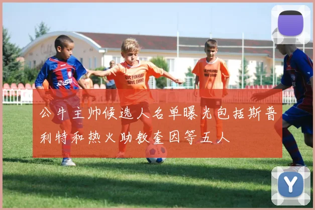 公牛主帅候选人名单曝光包括斯普利特和热火助教奎因等五人